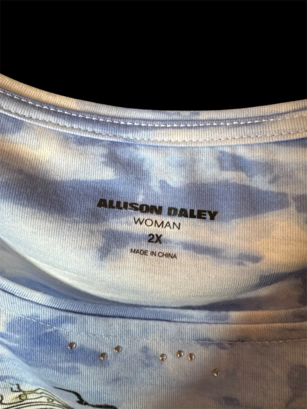 NEW Allison Daley Woman 2X Tunic Scenic Blue Cafe Amor Rhinestone Plus Bling - Picture 7 of 9
